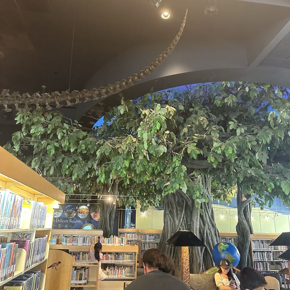 Cerritos Library - Inside Children's Library - Libraries Near Me - Cerritos, California Cerritos Library - Inside Children's Library - Libraries Near Me - Cerritos, California