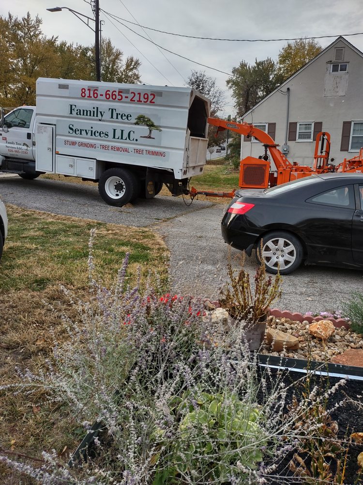 Family Tree Service - tree service in Kansas City, MO