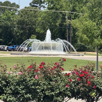 Tyler Rose Garden Center - Beautiful fountain in the background of a row of beautiful roses - Parks Near Me - Tyler, Texas Tyler Rose Garden Center - Beautiful fountain in the background of a row of beautiful roses - Parks Near Me - Tyler, Texas