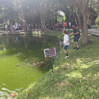 Byodo-In Temple - Buddhist Temples Near Me - Kaneohe, Hawaii