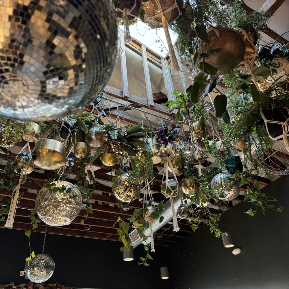 The Green Room - Beautyyyyy ceiling - Lounges Near Me - Sacramento, California The Green Room - Beautyyyyy ceiling - Lounges Near Me - Sacramento, California