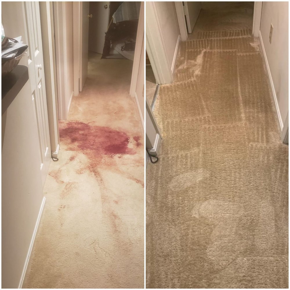 AUCKLAND STEAM ‘N’ DRY Updated July 2024 96a Dominion Road