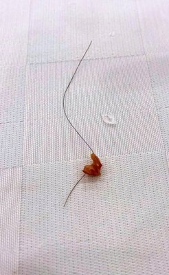 Fung Shing Restaurant by null