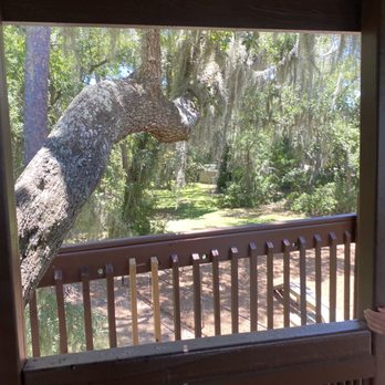 Baytowne Tree House - Public Art Near Me - Miramar Beach, Florida