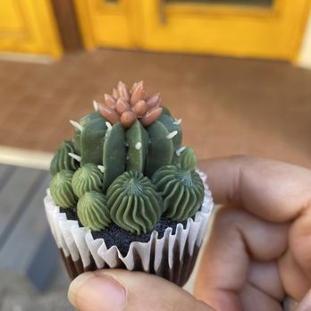 Urban Backyard - Chocolate Mini Succulent Cupcakes - Coffee & Tea Near Me - New York, New York Urban Backyard - Chocolate Mini Succulent Cupcakes - Coffee & Tea Near Me - New York, New York