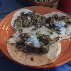 Taquería Pico de Gallo - The tacos are good.