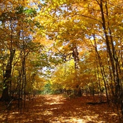 Dutch Lake Farm Guest House - Enjoy hiking the trails through the woods in the fall or anytime of year!