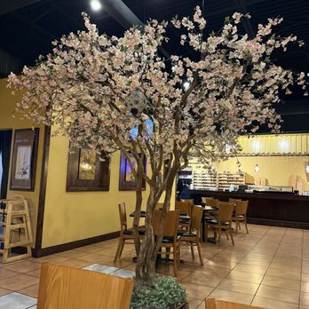 Sushi Heeya - Inside - Japanese Near Me - Flowery Branch, Georgia Sushi Heeya - Inside - Japanese Near Me - Flowery Branch, Georgia