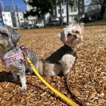 Lincoln Park - Walking Havanna and Kuba! - Parks Near Me - Tacoma, Washington Lincoln Park - Walking Havanna and Kuba! - Parks Near Me - Tacoma, Washington