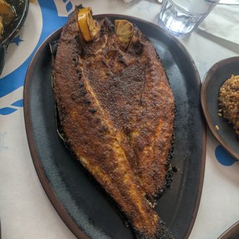 IBN Hamido Seafood - Grilled branzino - Seafood Near Me - Astoria, New York IBN Hamido Seafood - Grilled branzino - Seafood Near Me - Astoria, New York