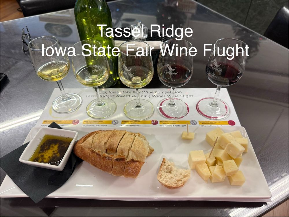Tassel Ridge Winery - vineyard in Leighton, IA