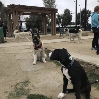 Riverwalk Dog Park - Zion with his buddy Norman - Dog Parks Near Me - Riverside, California Riverwalk Dog Park - Zion with his buddy Norman - Dog Parks Near Me - Riverside, California
