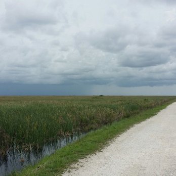 Sawgrass Trailhead at Atlantic Boulevard - Hiking Near Me Sawgrass Trailhead at Atlantic Boulevard - Hiking Near Me