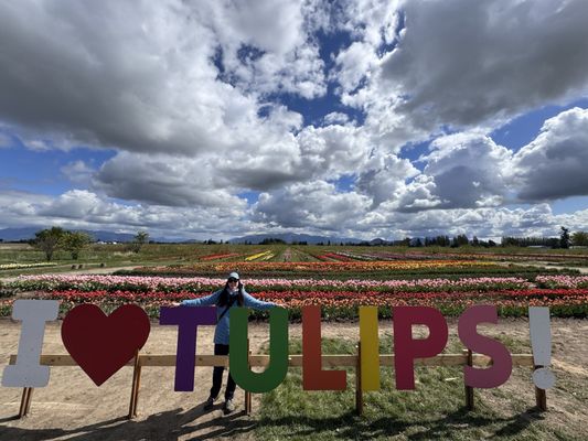 Tulip Valley Farms by null