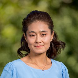 Ying Wu, M.D. RhMSUS
