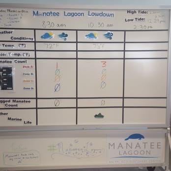 Manatee Lagoon - Manatee count and weather info - Aquariums Near Me - West Palm Beach, Florida Manatee Lagoon - Manatee count and weather info - Aquariums Near Me - West Palm Beach, Florida