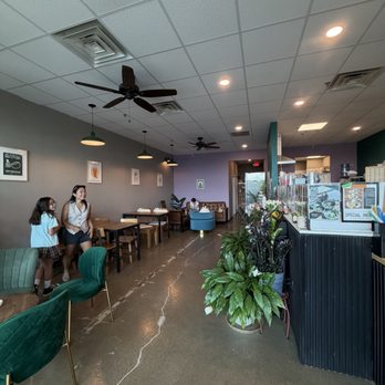 Tea Cha Boba Tea And Sweets - Desserts Near Me - Georgetown, Kentucky Tea Cha Boba Tea And Sweets - Desserts Near Me - Georgetown, Kentucky