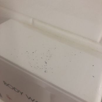 Flamingo Las Vegas - Dirt in the shower - Hotels Near Me - Las Vegas, Nevada