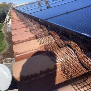 West Coast Pest Control - Now offering : Solar panel wash and clean. - Pest Control Near Me West Coast Pest Control - Now offering : Solar panel wash and clean. - Pest Control Near Me