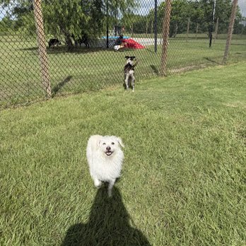 KT Dog Ranch and Kennel - Pet Boarding Near Me - Katy, Texas KT Dog Ranch and Kennel - Pet Boarding Near Me - Katy, Texas