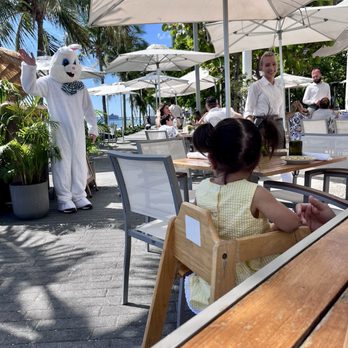 Amara at Paraiso - Easter Bunny sighting! - Latin American Near Me - Miami, Florida Amara at Paraiso - Easter Bunny sighting! - Latin American Near Me - Miami, Florida