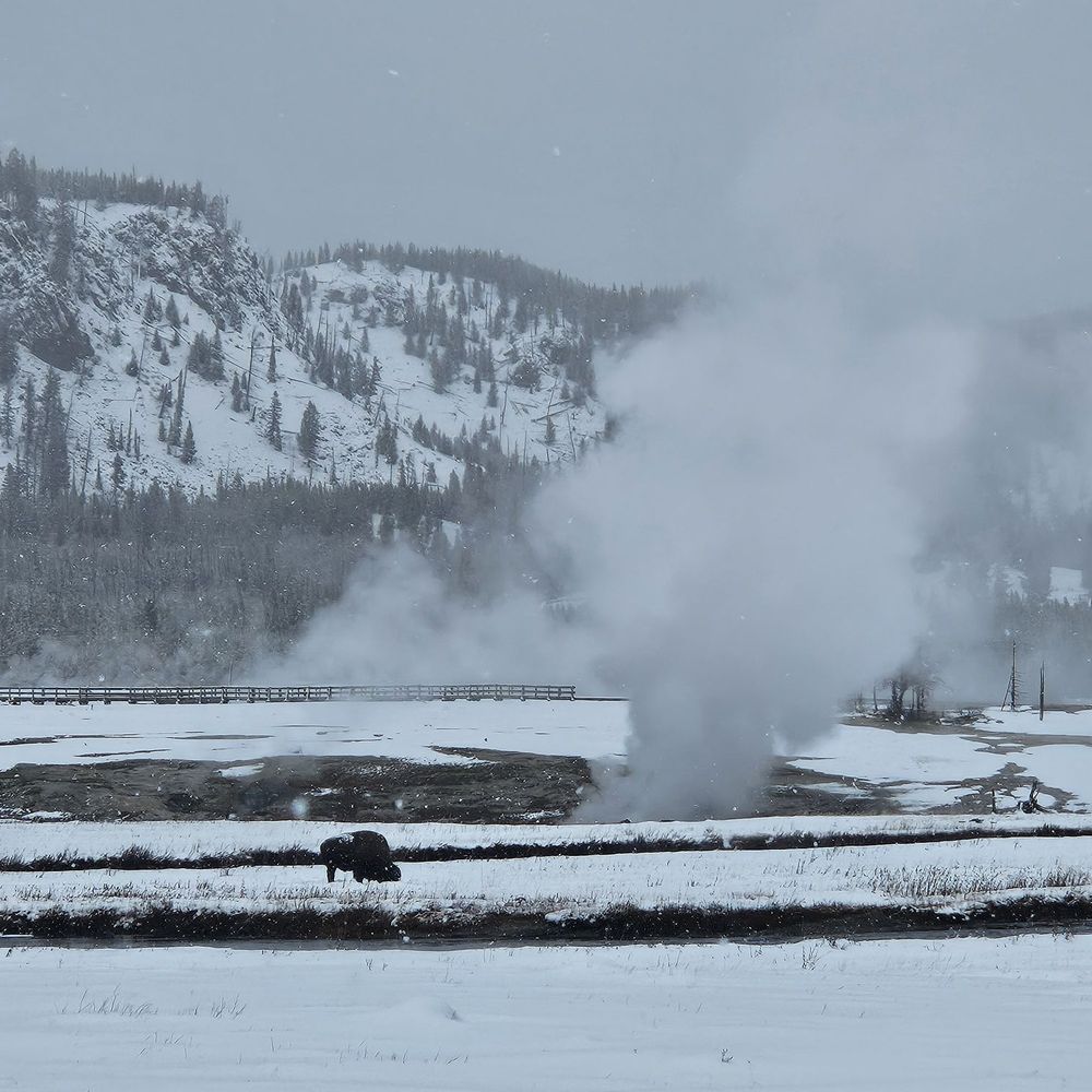 Yellowstone Vacation Tours - Tours Near Me - West Yellowstone, Montana Yellowstone Vacation Tours - Tours Near Me - West Yellowstone, Montana