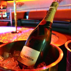 Club 390 - When the lights hit just right and the champagne stays chilled, you know you're exactly where you should be. Club 390.