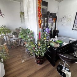 New Life Massage Spa - Lobby