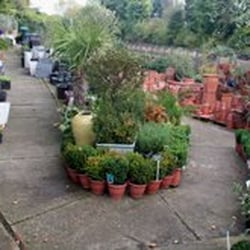 Dulwich Pot & Plant Garden