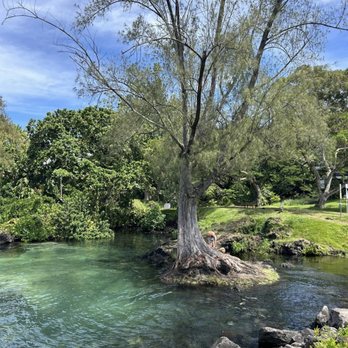 Carlsmith Beach Park - Parks Near Me - Hilo, Hawaii