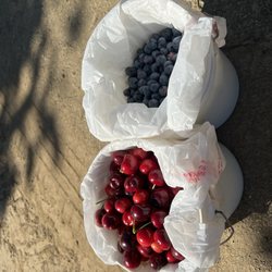 Cherries and blueberries