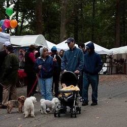Chastain Park Arts Festival - 150 Great Artist at the Chastain Park Arts Festival