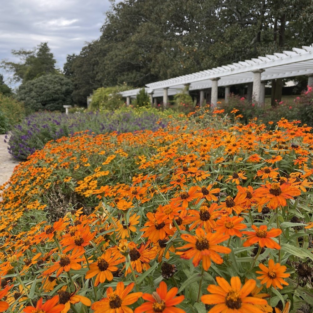 Maymont - Parks Near Me - Richmond, Virginia