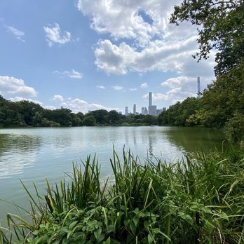 Central Park Conservancy - Central park pond - Parks Near Me - New York, New York