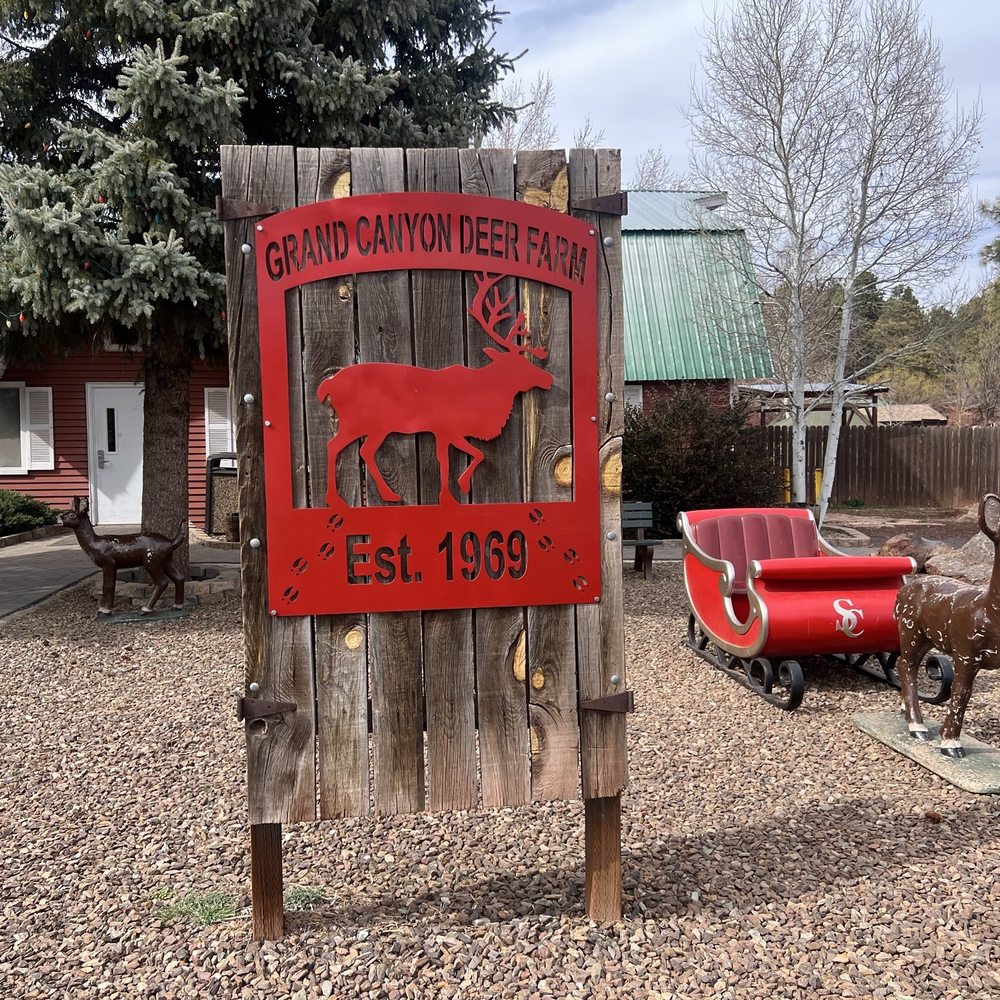 Grand Canyon Deer Farm - Zoos Near Me - Williams, Arizona Grand Canyon Deer Farm - Zoos Near Me - Williams, Arizona