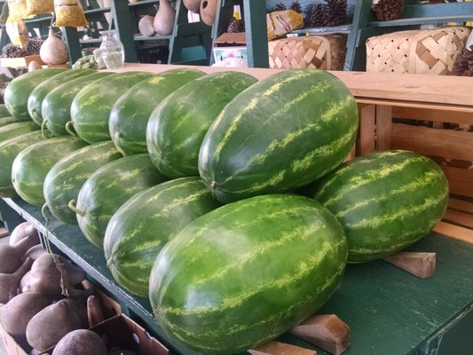 Montgomery Curb Market by null