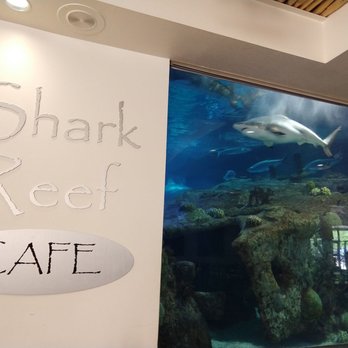 Shark Reef Cafe - Aquarium - Burgers Near Me - Albuquerque, New Mexico