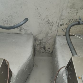 Invitation Homes - Air Handlers and ceiling covered in mold - Property Management Near Me - Tampa, Florida Invitation Homes - Air Handlers and ceiling covered in mold - Property Management Near Me - Tampa, Florida