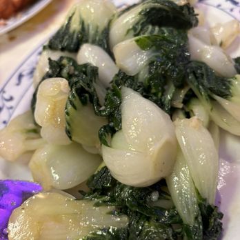Evergreen Restaurant - Baby bok choy w garlic - Cantonese Near Me - Chicago, Illinois