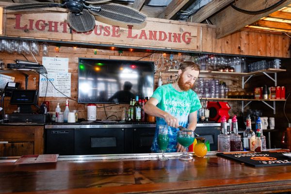 Harrison's Landing by null