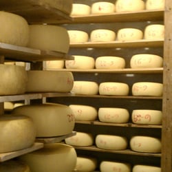 Joe Matos Cheese Factory