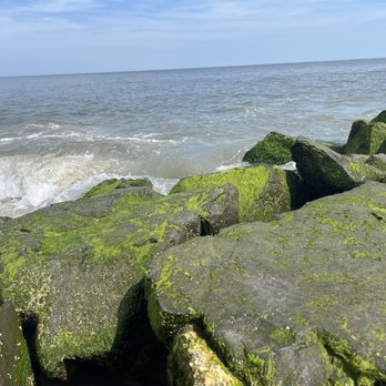 Cape May Point State Park - Parks Near Me Cape May Point State Park - Parks Near Me