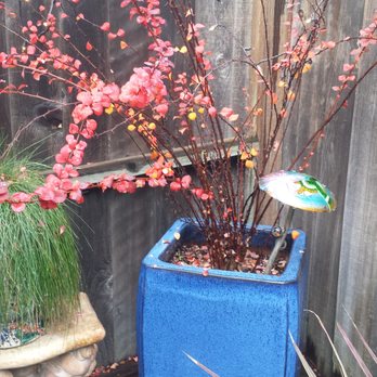 Garden Essential - The best place to get really large pots. This one is about 36" tall. - Home Decor Near Me - Santa Rosa, California