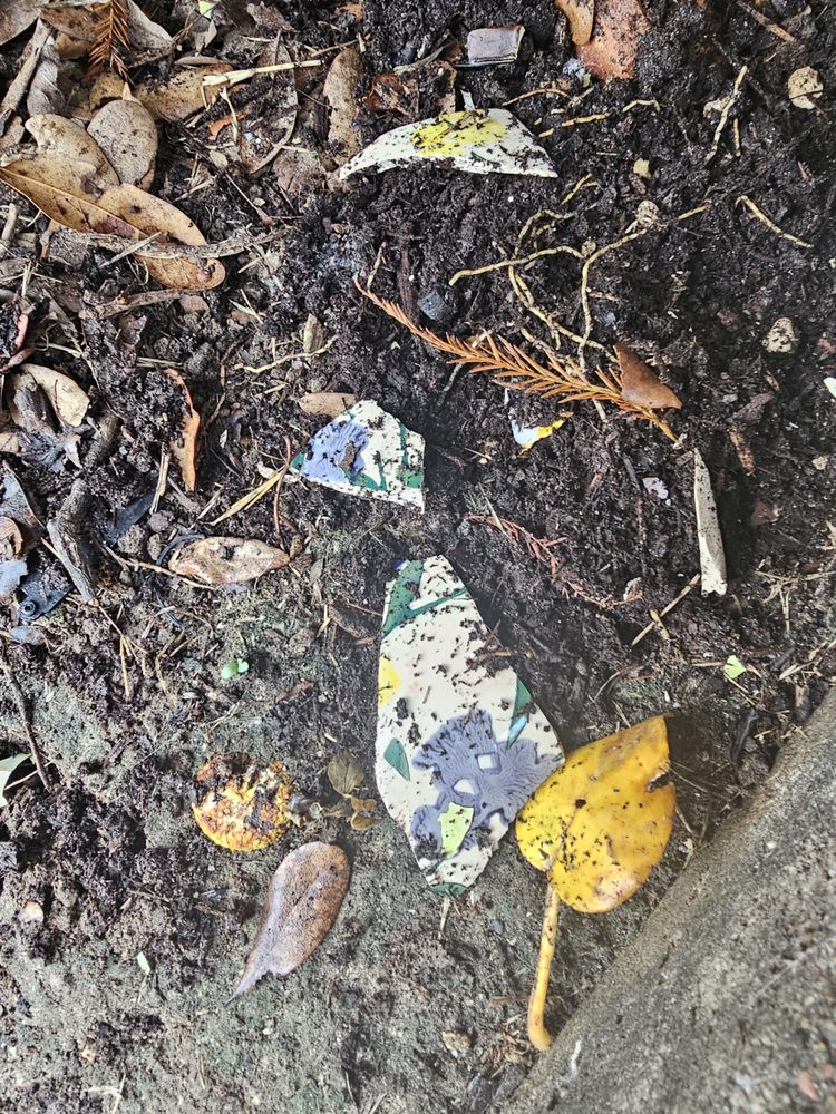 Slide of CNM Roofing