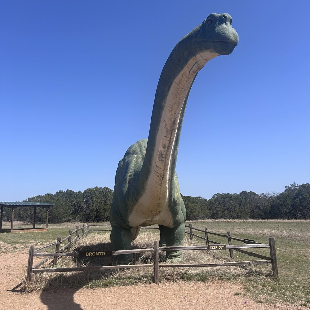 Dinosaur Valley State Park - Apatosaurus model - Parks Near Me - Glen Rose, Texas