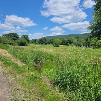 Nod Brook Wildlife Management Area - Parks Near Me - Simsbury, Connecticut Nod Brook Wildlife Management Area - Parks Near Me - Simsbury, Connecticut