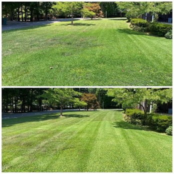 Brown’s Turf Solutions - Lawn Services Near Me Brown’s Turf Solutions - Lawn Services Near Me