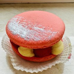 La Gourmandine - Macarons aux Fruits