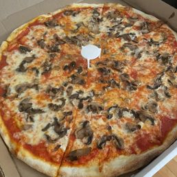 Mushroom Pizza