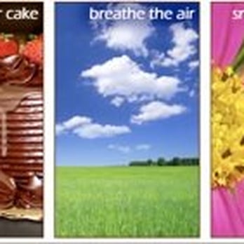Allergy Breakthrough Center - ENJOY LIFE ALLERGY FREE! - Chiropractors Near Me - Clinton, New Jersey